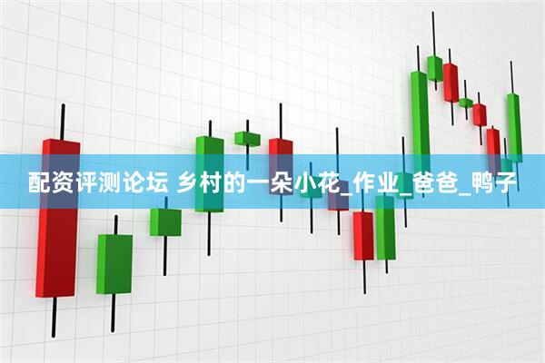 配资评测论坛 乡村的一朵小花_作业_爸爸_鸭子